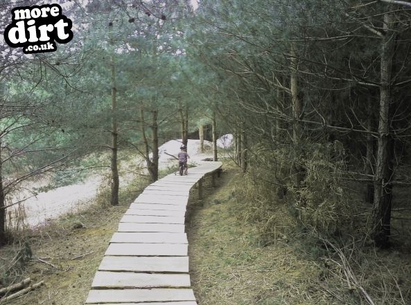 Tunstall Forest Mountain Bike Trails