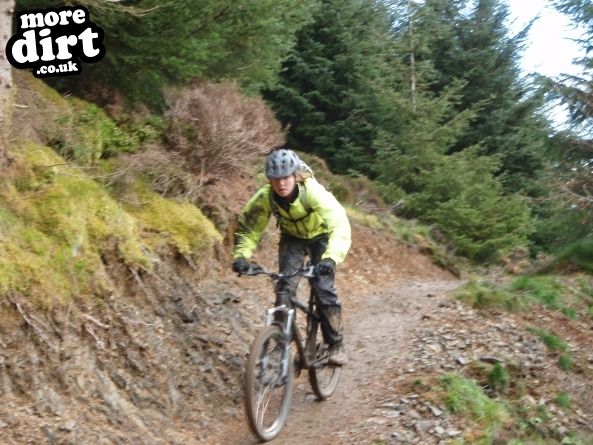 Altura Trail - Whinlatter Forest