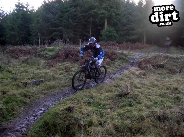 Triscombe Mountain Bike Trails