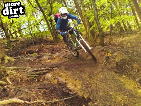 Healey Nab Mountain Bike Trails