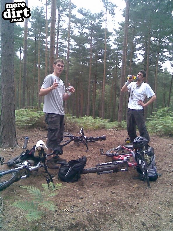 Swinley Forest Mountain Bike Centre