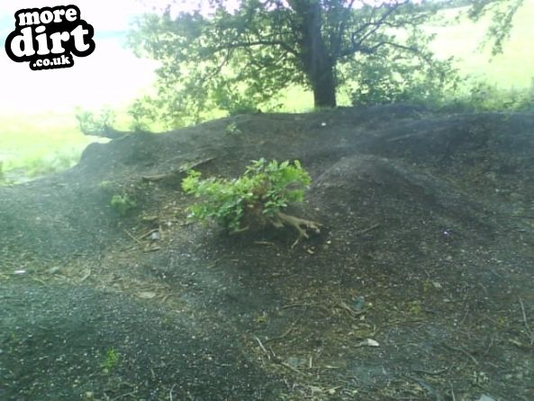 Just some local jumps