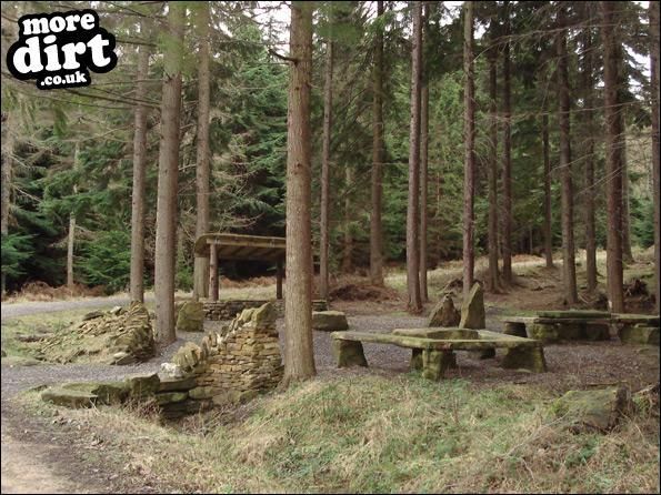 Hamsterley Forest Mountain Bike Trails