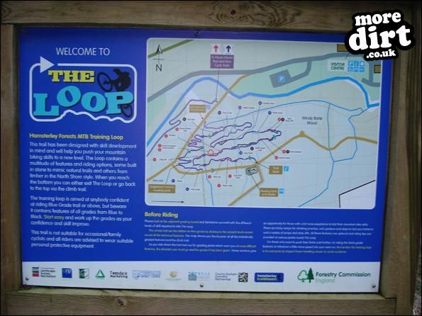 Hamsterley Forest Mountain Bike Trails