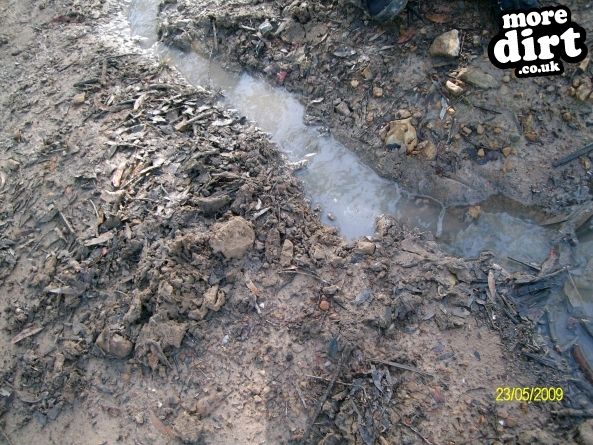 draining the hectic big puddle