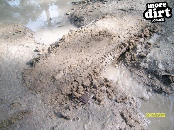 hectic little bridge