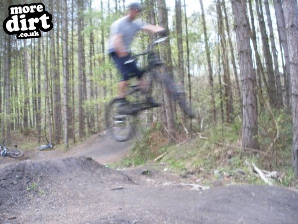 Downhill Trails - Forest of Dean