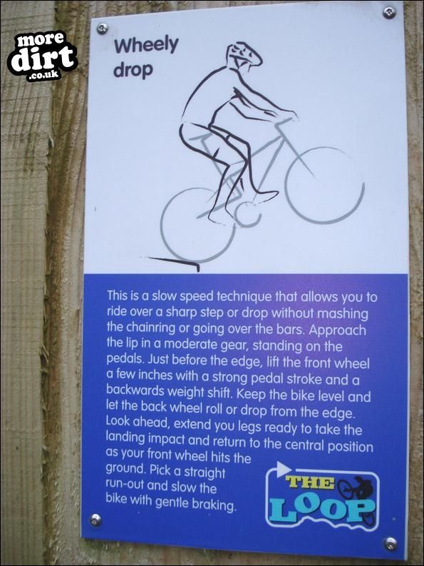 Hamsterley Forest Mountain Bike Trails