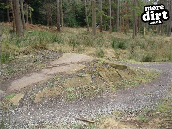 Hamsterley Forest Mountain Bike Trails