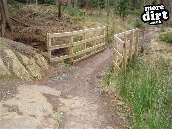 Hamsterley Forest Mountain Bike Trails