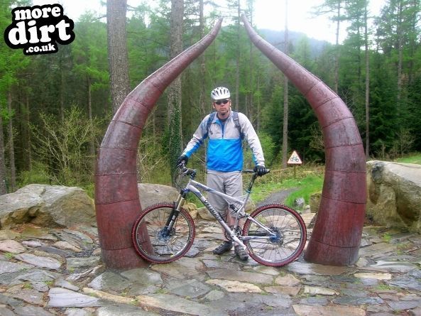 Dragons Back Trail - Coed-y-Brenin