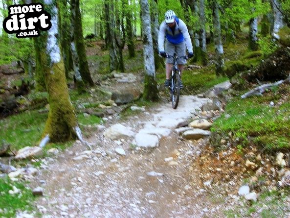 MBR Trail - Coed-y-Brenin