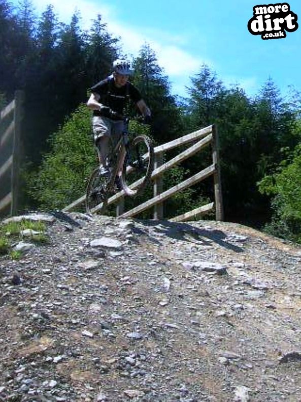 Black Trail - Coed Llandegla Forest