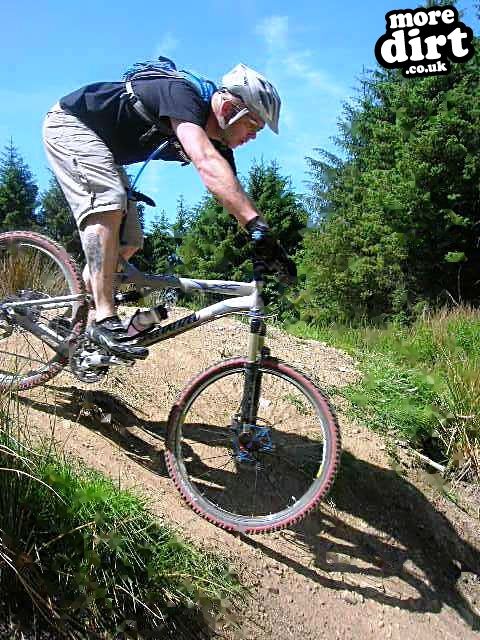 Black Trail - Coed Llandegla Forest