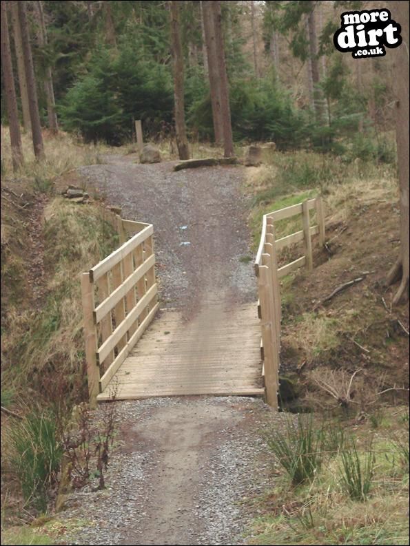 Hamsterley Forest Mountain Bike Trails