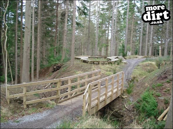 Hamsterley Forest Mountain Bike Trails