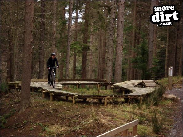Hamsterley Forest Mountain Bike Trails