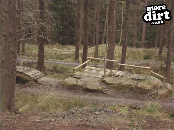 Hamsterley Forest Mountain Bike Trails