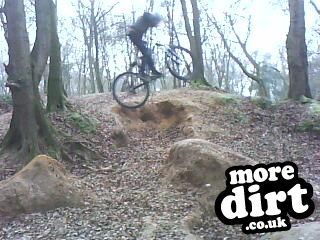 Mousehold Trails