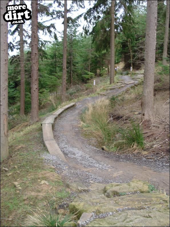 Hamsterley Forest Mountain Bike Trails