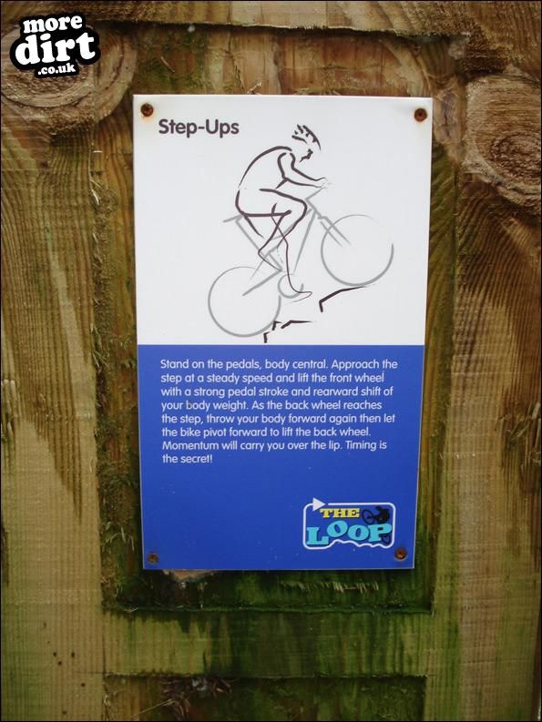 Hamsterley Forest Mountain Bike Trails