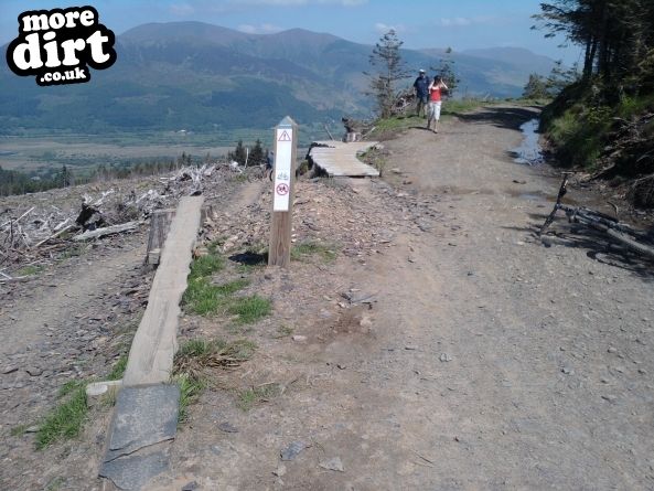 Altura Trail - Whinlatter Forest