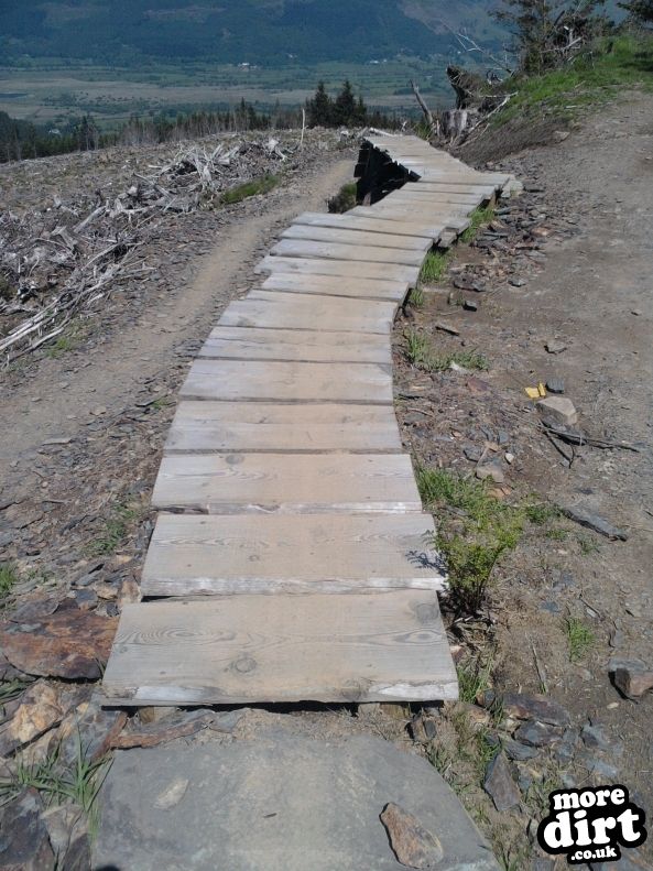 Altura Trail - Whinlatter Forest