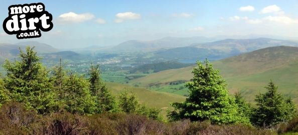 Altura Trail - Whinlatter Forest
