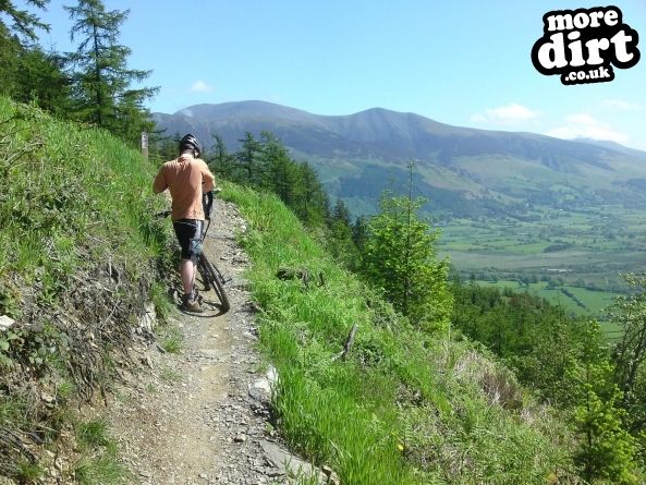 Altura Trail - Whinlatter Forest