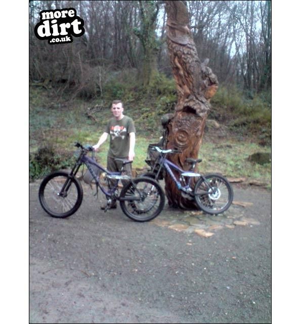 Gorlech Trail - Brechfa