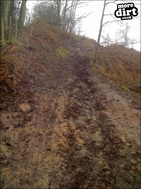 Delamere Forest Mountain Bike Trails