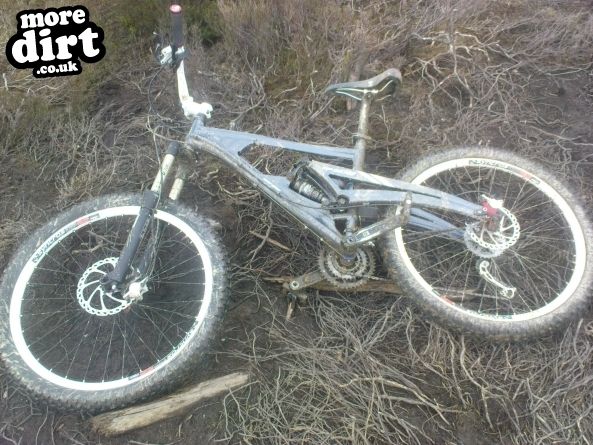 Altura Trail - Whinlatter Forest