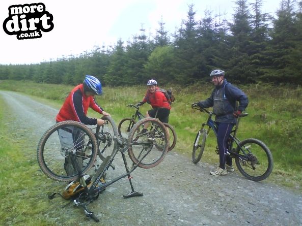 Derwen Trail - Brechfa