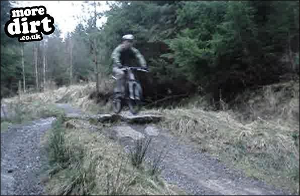 Hamsterley Forest Mountain Bike Trails