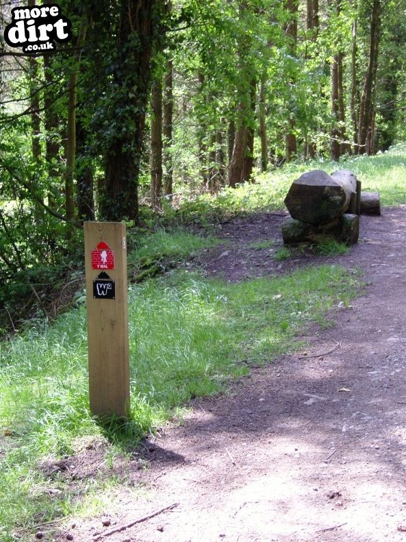 W2 Trail - Afan Forest
