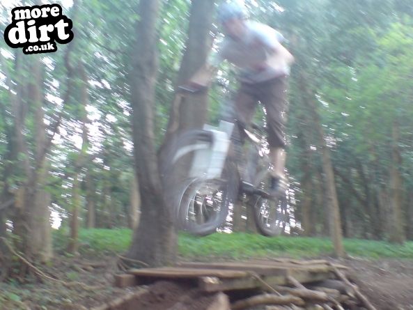 Walton-in-Gordano Trails