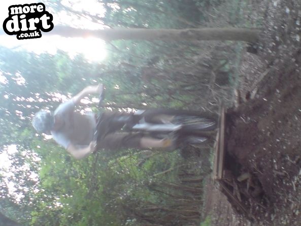 Walton-in-Gordano Trails