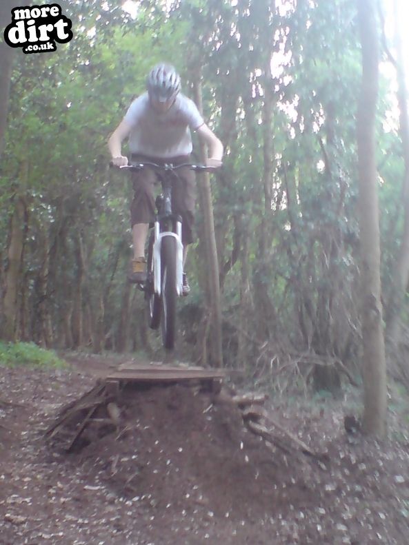 Walton-in-Gordano Trails