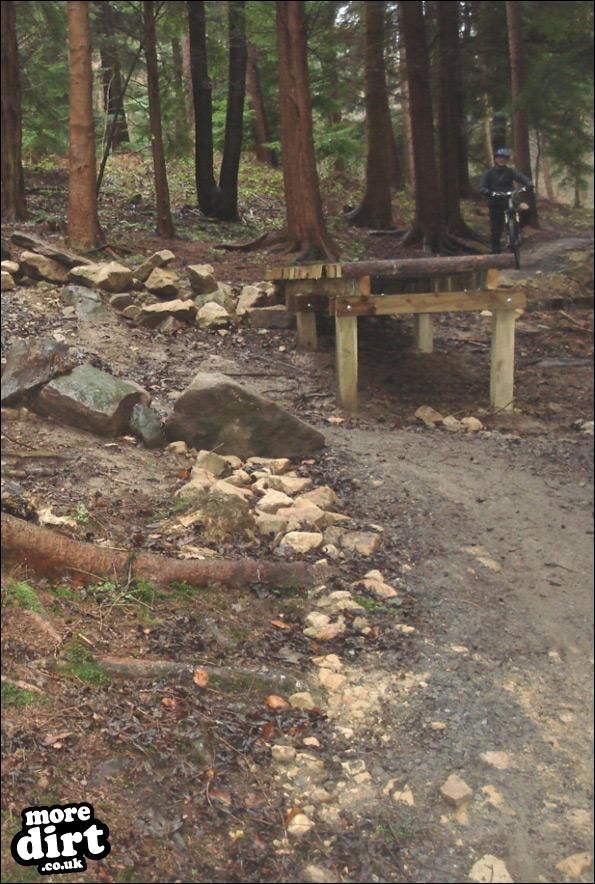 Hamsterley Forest Mountain Bike Trails