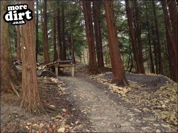 Hamsterley Forest Mountain Bike Trails