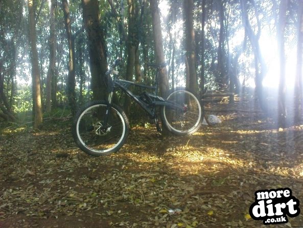 Walton-in-Gordano Trails