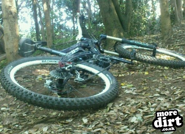 Walton-in-Gordano Trails