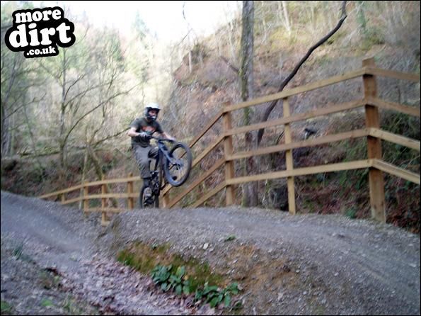 Gorlech Trail - Brechfa