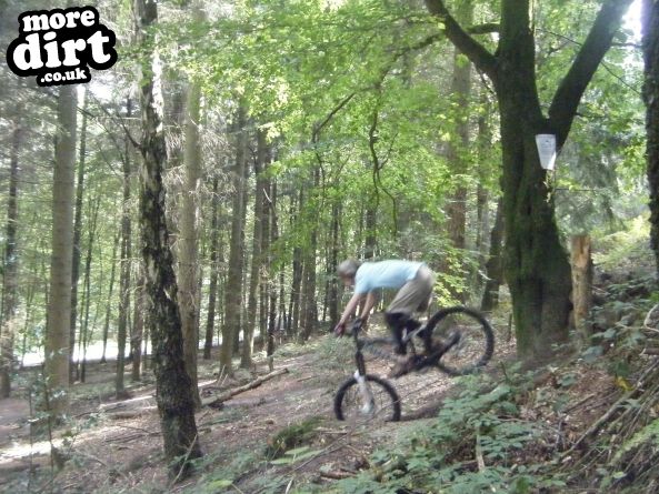 Rogate Downhill Mountain Bike Park
