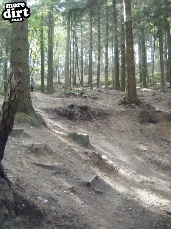 Rogate Downhill Mountain Bike Park