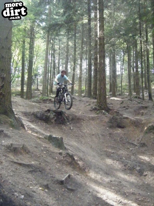 Rogate Downhill Mountain Bike Park