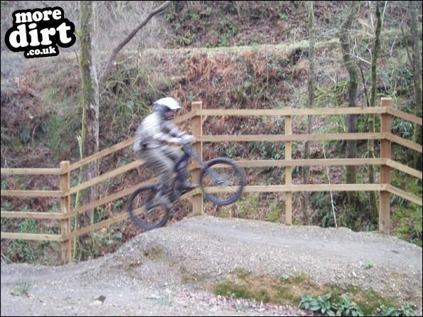 brechfa mtb trails