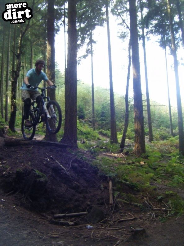 Rogate Downhill Mountain Bike Park