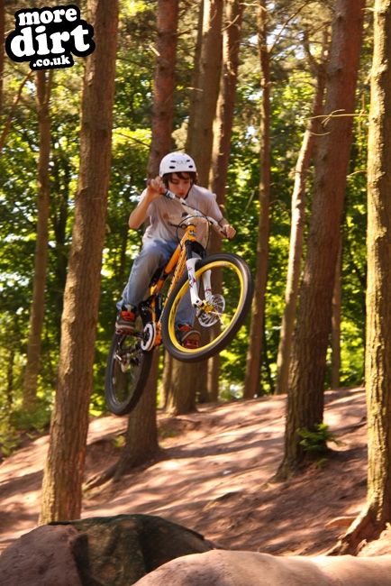Delamere Forest Mountain Bike Trails