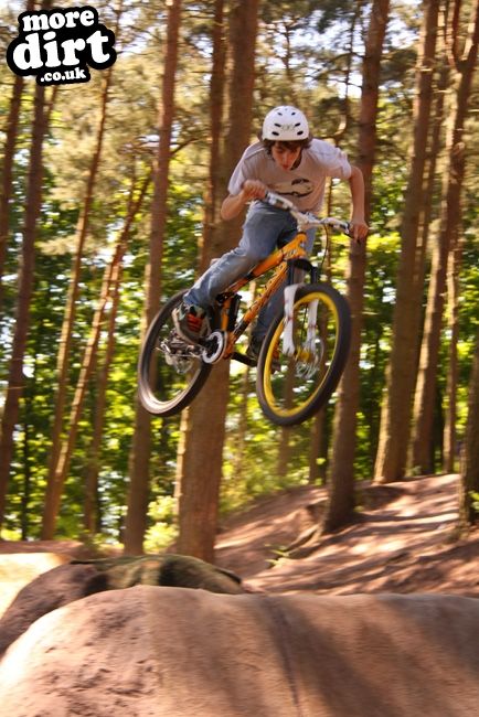 Delamere Forest Mountain Bike Trails